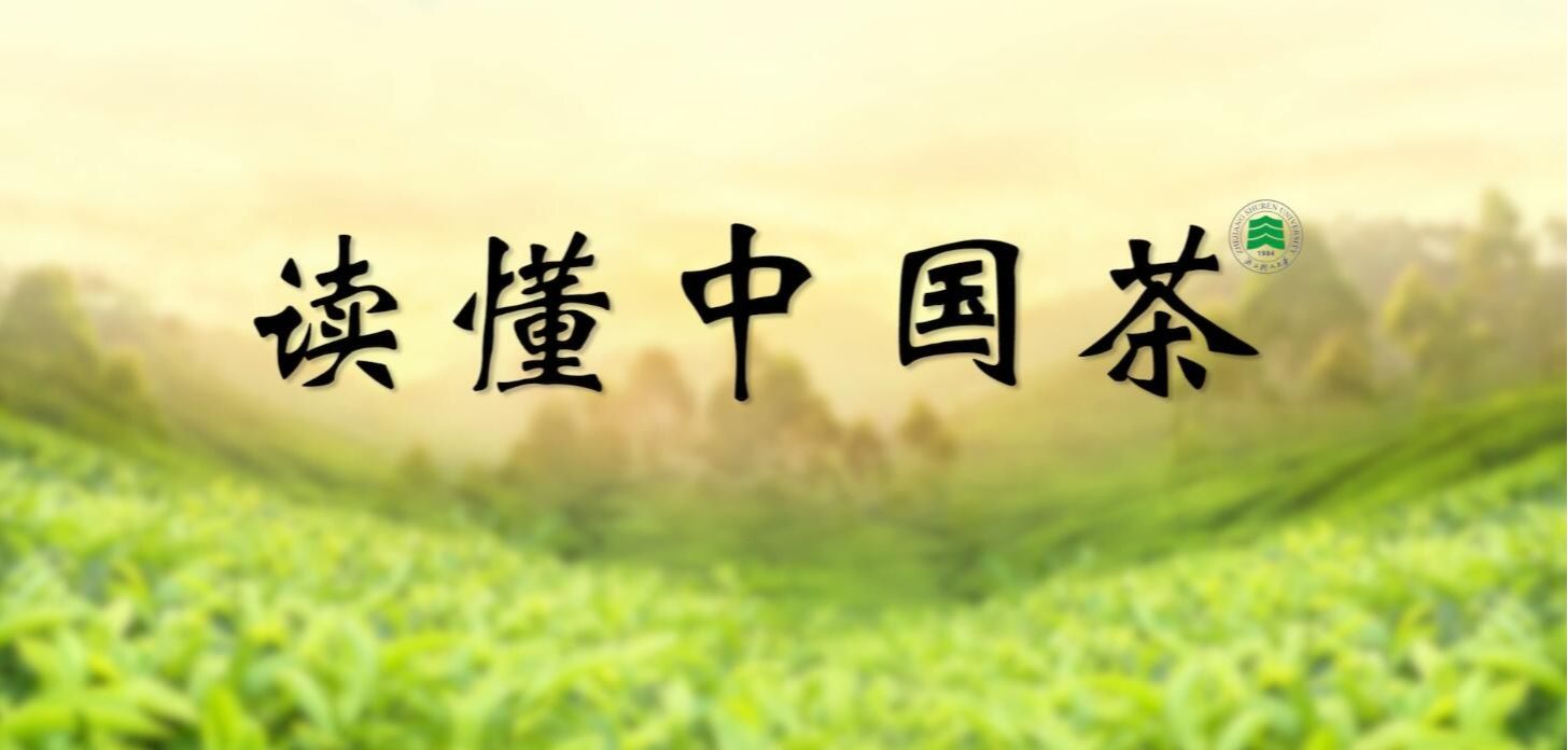 吸引来自全国203所院校530支队伍