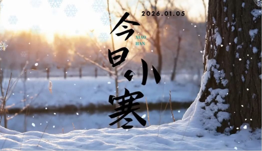 版权所有